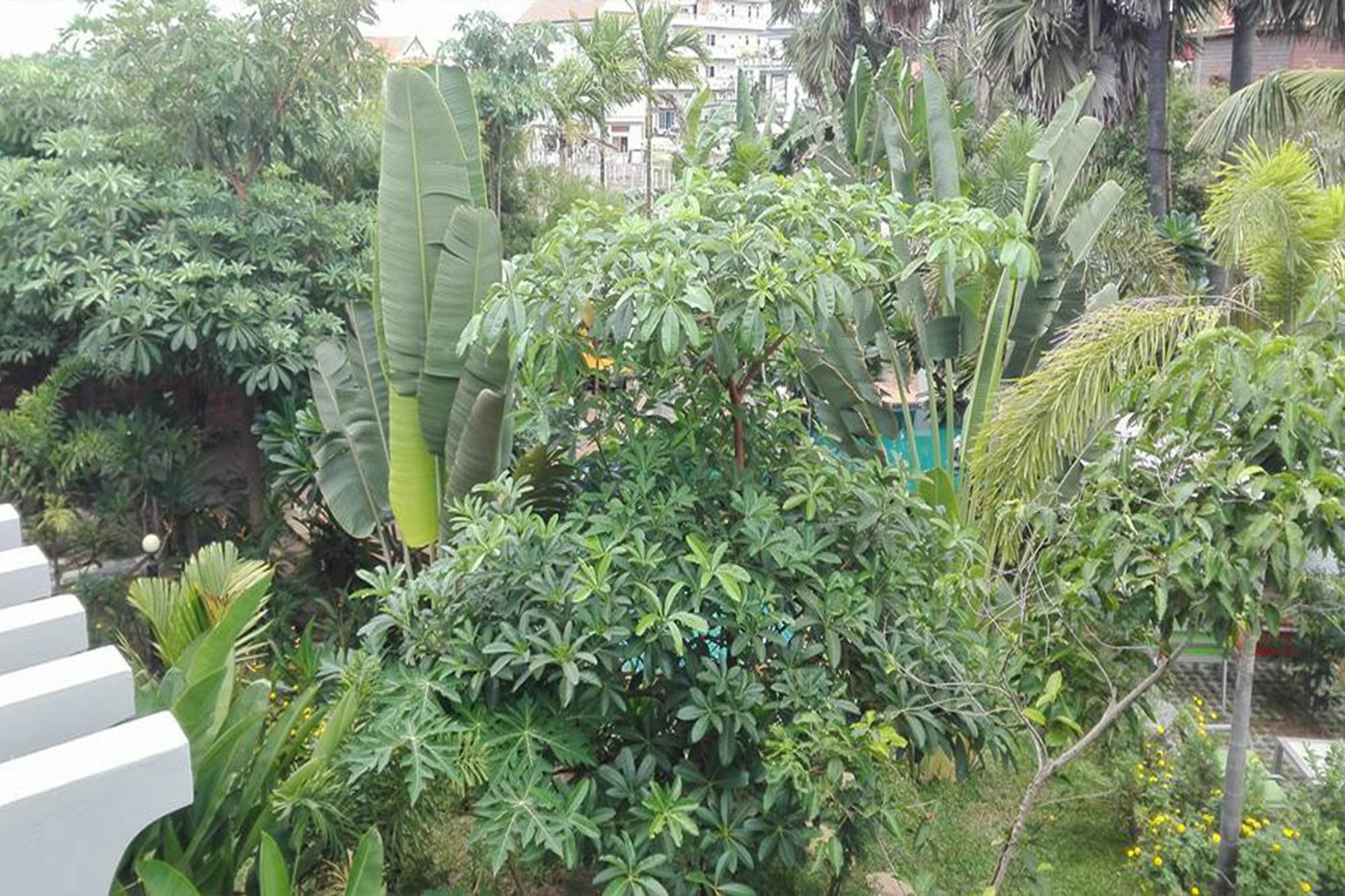 Hak Boutique Hotel Siem Reap Buitenkant foto